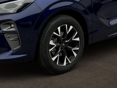 Cupra Terramar Gebrauchtwagen