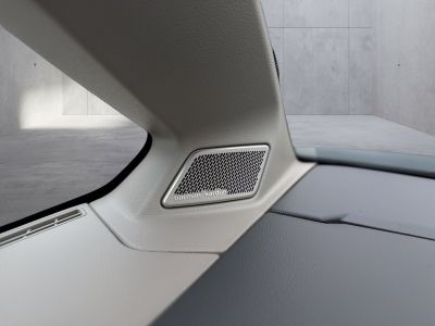 VW Multivan Gebrauchtwagen