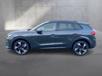 Cupra Terramar Gebrauchtwagen