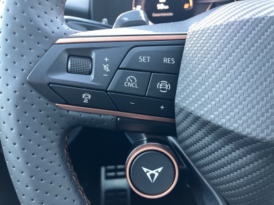 Cupra Terramar Gebrauchtwagen