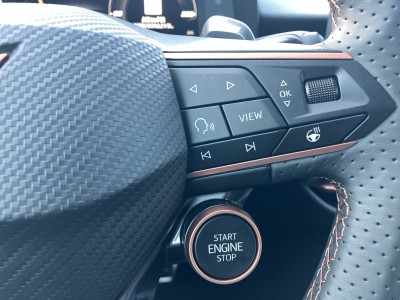 Cupra Terramar Gebrauchtwagen