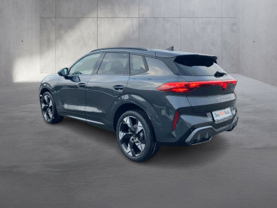 Cupra Terramar Gebrauchtwagen