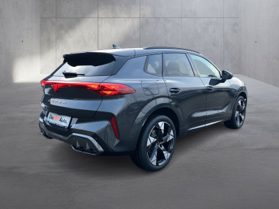 Cupra Terramar Gebrauchtwagen