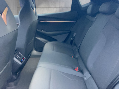 Cupra Tavascan Gebrauchtwagen