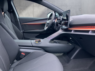 Cupra Tavascan Gebrauchtwagen