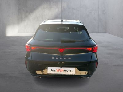 Cupra Leon Gebrauchtwagen Cupra Leon Gebrauchtwagen