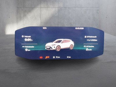 Cupra Formentor Gebrauchtwagen Cupra Formentor Gebrauchtwagen