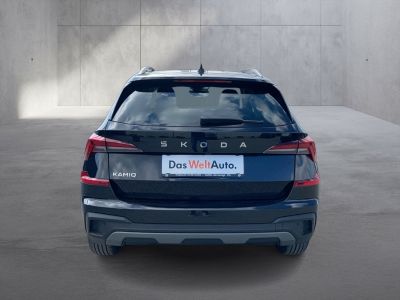 Skoda Kamiq Gebrauchtwagen Skoda Kamiq Gebrauchtwagen