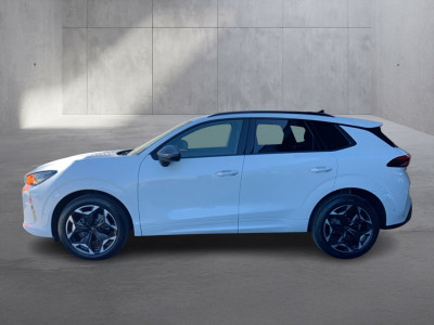 Cupra Terramar Gebrauchtwagen Cupra Terramar Gebrauchtwagen