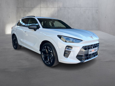 Cupra Terramar Gebrauchtwagen Cupra Terramar Gebrauchtwagen