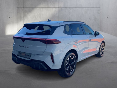 Cupra Terramar Gebrauchtwagen Cupra Terramar Gebrauchtwagen