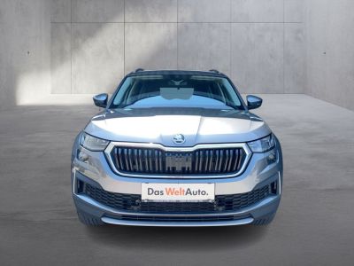 Skoda Kodiaq Gebrauchtwagen Skoda Kodiaq Gebrauchtwagen