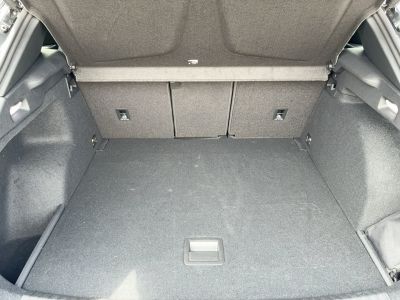 Cupra Terramar Gebrauchtwagen