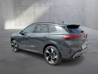 Cupra Terramar Gebrauchtwagen