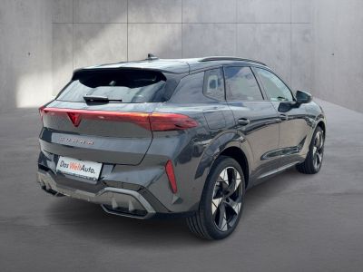 Cupra Terramar Gebrauchtwagen