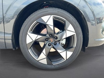 Cupra Terramar Gebrauchtwagen