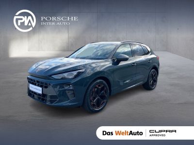 Cupra Terramar Gebrauchtwagen