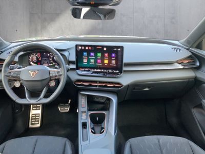 Cupra Terramar Gebrauchtwagen