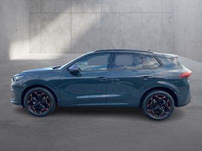 Cupra Terramar Gebrauchtwagen