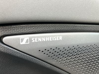 Cupra Terramar Gebrauchtwagen