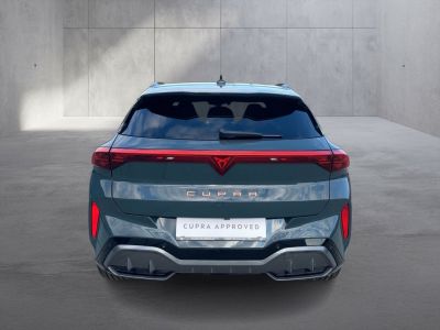 Cupra Terramar Gebrauchtwagen