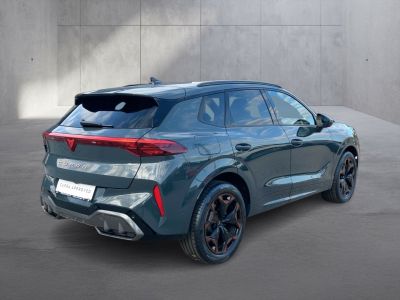 Cupra Terramar Gebrauchtwagen