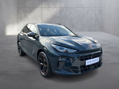 Cupra Terramar Gebrauchtwagen