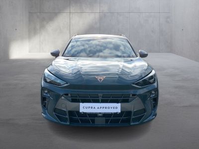 Cupra Terramar Gebrauchtwagen