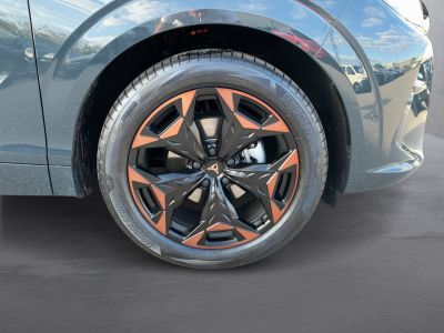 Cupra Terramar Gebrauchtwagen
