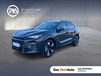 Cupra Terramar Gebrauchtwagen