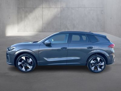 Cupra Terramar Gebrauchtwagen Cupra Terramar Gebrauchtwagen