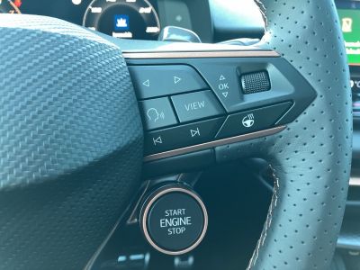 Cupra Terramar Gebrauchtwagen Cupra Terramar Gebrauchtwagen