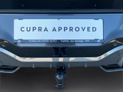 Cupra Terramar Gebrauchtwagen Cupra Terramar Gebrauchtwagen