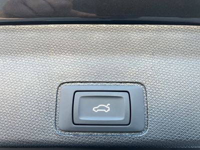 Cupra Terramar Gebrauchtwagen Cupra Terramar Gebrauchtwagen