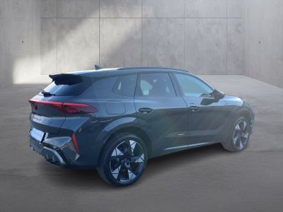 Cupra Terramar Gebrauchtwagen Cupra Terramar Gebrauchtwagen