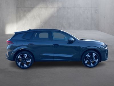 Cupra Terramar Gebrauchtwagen Cupra Terramar Gebrauchtwagen