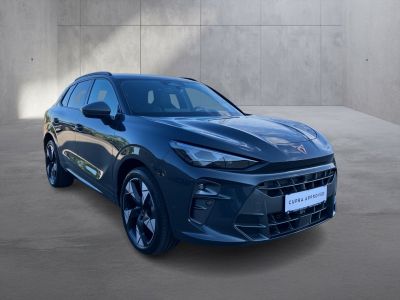 Cupra Terramar Gebrauchtwagen Cupra Terramar Gebrauchtwagen