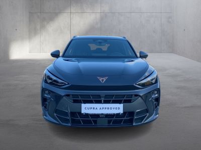 Cupra Terramar Gebrauchtwagen Cupra Terramar Gebrauchtwagen
