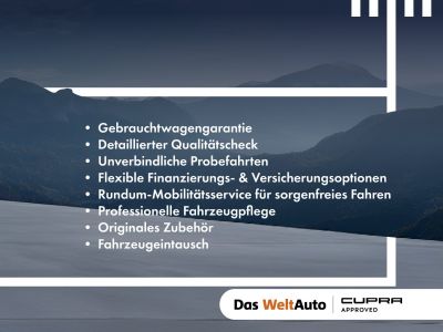 Cupra Leon Gebrauchtwagen Cupra Leon Gebrauchtwagen