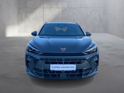 Cupra Terramar Gebrauchtwagen Cupra Terramar Gebrauchtwagen