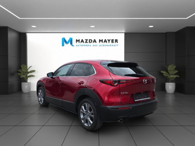 Mazda CX-30 Vorführwagen