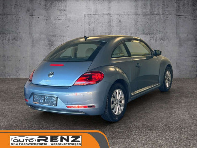 VW Beetle Gebrauchtwagen