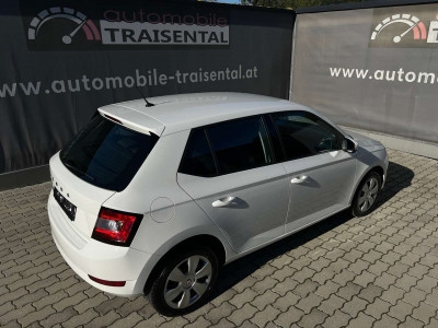 Skoda Fabia Gebrauchtwagen