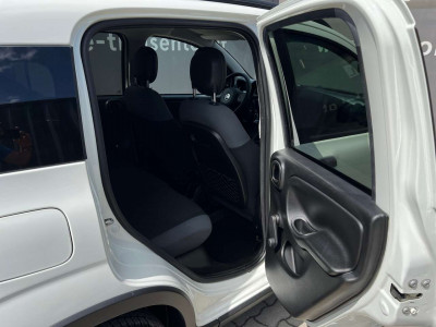 Fiat Panda Gebrauchtwagen