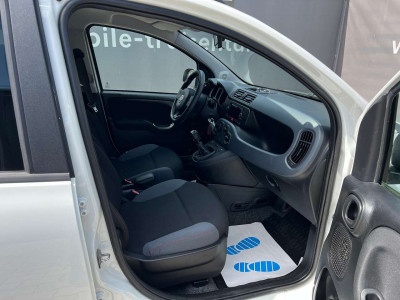 Fiat Panda Gebrauchtwagen