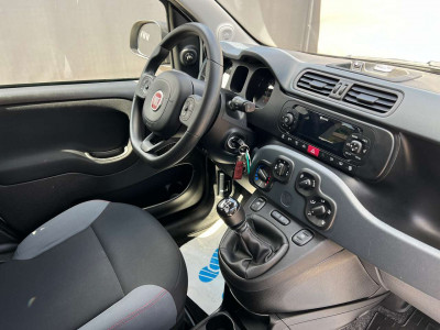 Fiat Panda Gebrauchtwagen