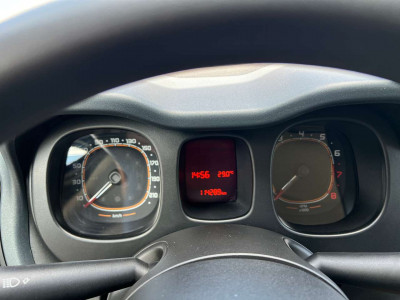 Fiat Panda Gebrauchtwagen