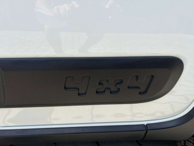 Fiat Panda Gebrauchtwagen