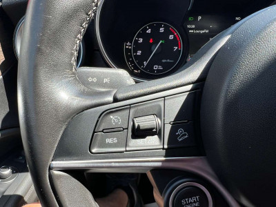 Alfa Romeo Stelvio Gebrauchtwagen