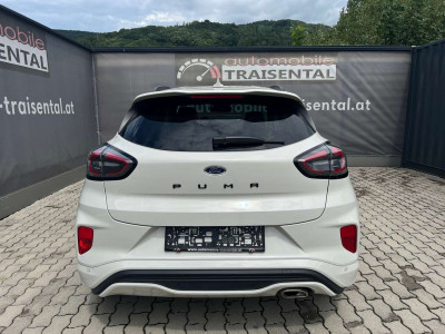 Ford Puma Gebrauchtwagen Ford Puma Gebrauchtwagen